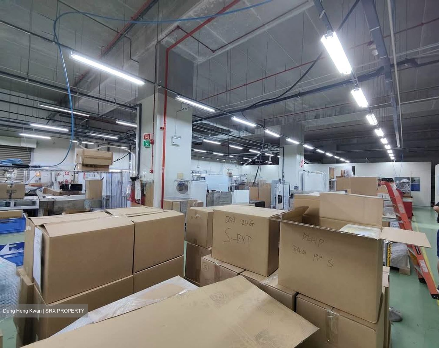Asia Pacific Breweries (D22), Warehouse #539946251